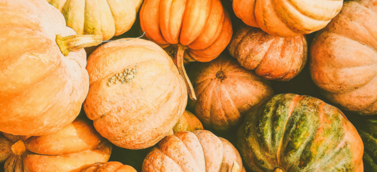 Fall Harvest Fest | WCPNC